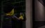     / Dreamzzz: Trials of the Dream Chasers - 3 , 14 