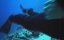    / Jacques Cousteau's Legacy - 
