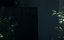  / Rebirth - 