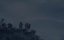  / The Wolves - 