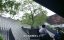   / Double Fugue - 1 , 8 