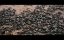  / Kovan (Keeping The Bees) - 