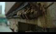   / Toxic Town - 1 , 1 