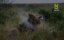 ����������� ������ �������� / Africa's Hunters of the Night - �������