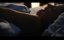   / Strictly Sexual / Strictly Sexual: A Love Story - 