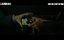    / Daewoebi: Gwonryeok-ui Tansaeng / The Devil's Deal -  