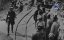   / Adolf Island - 