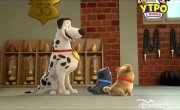 ������� ����� / Puppy Dog Pals - 3 �����, 41 ����� "����� ��������"