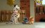 ������� ����� / Puppy Dog Pals - 3 �����, 41 ����� "����� ��������"