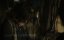  :   / The Walking Dead: Daryl Dixon - 3 , 3 