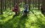     / The Man with the Magic Box - 