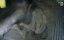 .    / Lost Beasts of the Ice Age - 