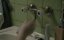    / Smak pho - 