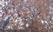 video_2025-10-16_00-45-47