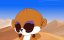 ��� � ��� ������ / YooHoo & Friends - 1 �����, 10 ����� "������ ��������"