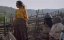    / Honeyland - 