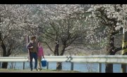 ������ / Reverse / 리버스 - 1 �����, 8 �����