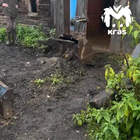 ������
