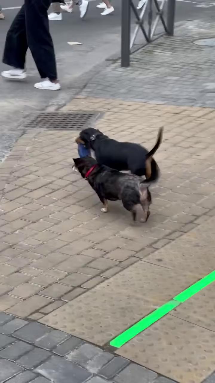 ������