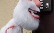���� ������ � �������