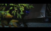   / Moonlit Reunion - 1 , 17 
