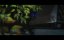  / Moonlit Reunion - 1 , 17 