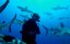   .   / Great Barrier Reef: The Next Generation - 