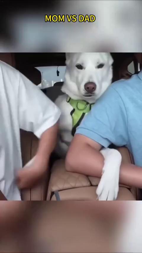 ������