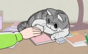    / Yoru wa Neko to Issho - 3 , 39 