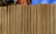   / Home improvement - 7 , 8 