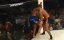 Alistair Overeem vs Vitor Belfort