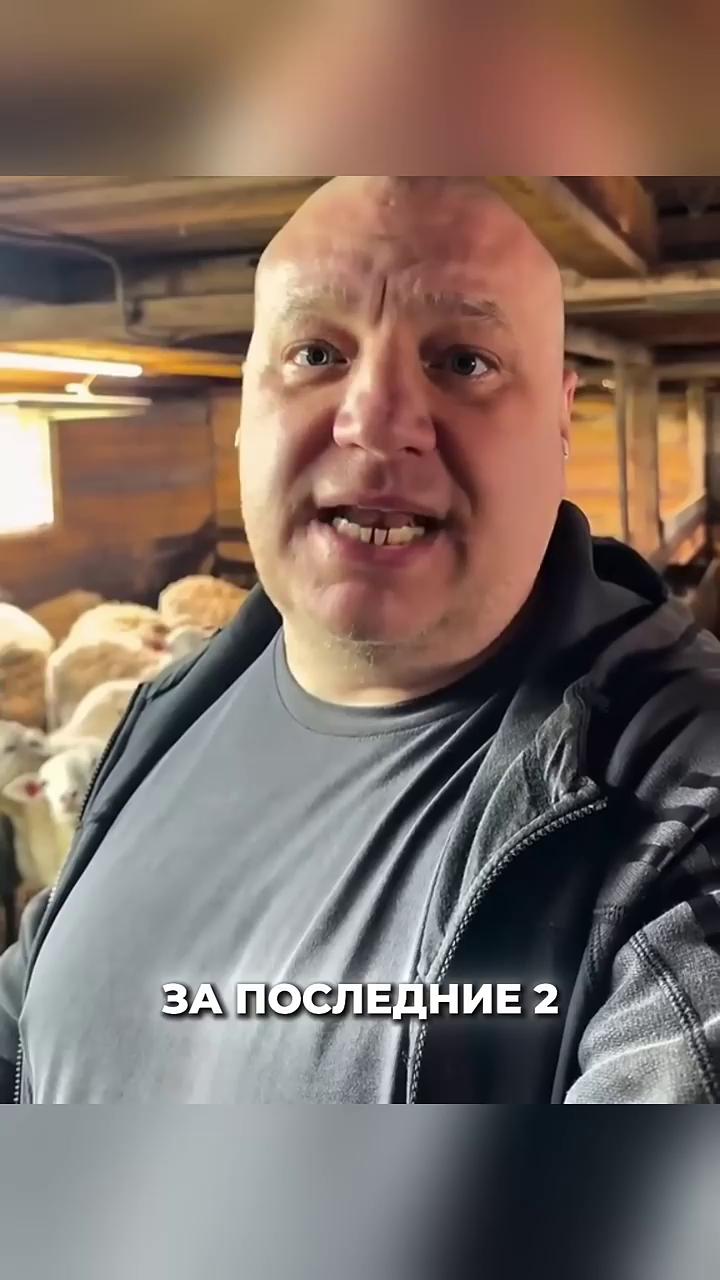 ������