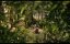   / Early Man -   2