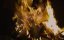 ����� � �������� / Les chants de Mandrin - �����