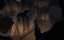 ������: ����������� � ����� / Batman: Caped Crusader - 2 �����, 2 �����