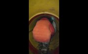 �������� (�� ������) - 12 ����� "����� �������� �008. �������� ���-95"