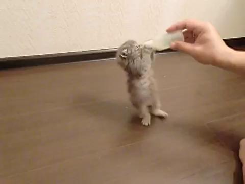 ������