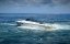  :    / Bermuda Triangle: Beneath the Waves / Dive to Bermuda Triangle - 