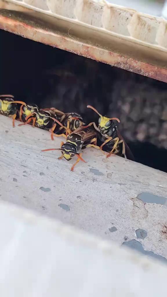 ������