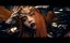 Talla 2XLC x Tandu x Mind-X - The Marillion (Official Video)