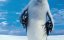   2 / Happy Feet Two - 