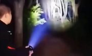 ����������� ������������ �������