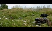 28  :   / 28 Years Later: The Bone Temple -  