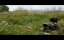 28  :   / 28 Years Later: The Bone Temple -  