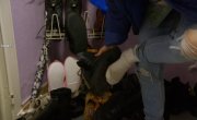 ����� ��� ����� / Heads or Fails - �����