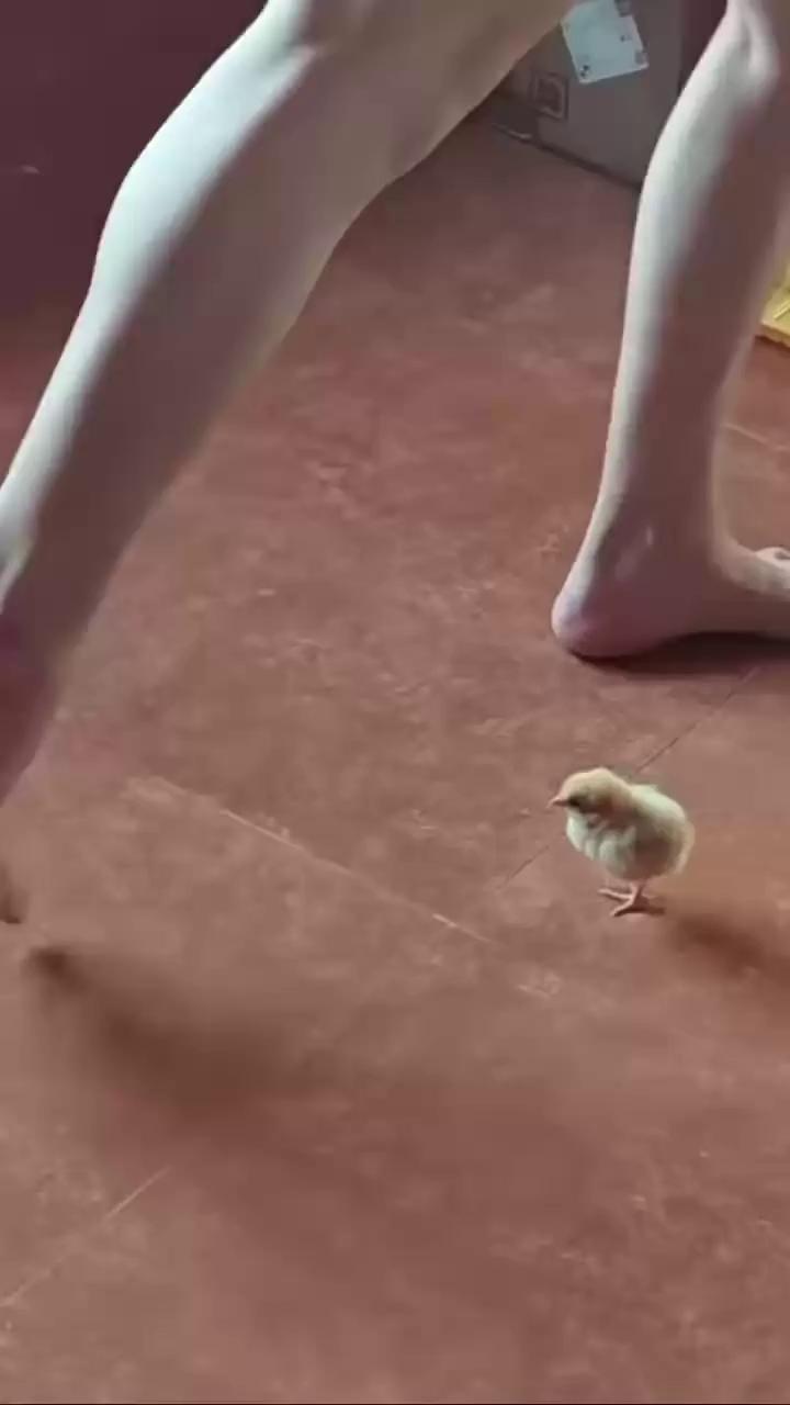 ������