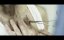   / Cell Count - 