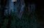    /   / The Wraith Within - 
