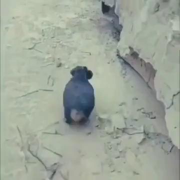 ������