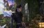 ���������� ��� ���������� / Dao Yao Xing - 1 �����, 19 �����